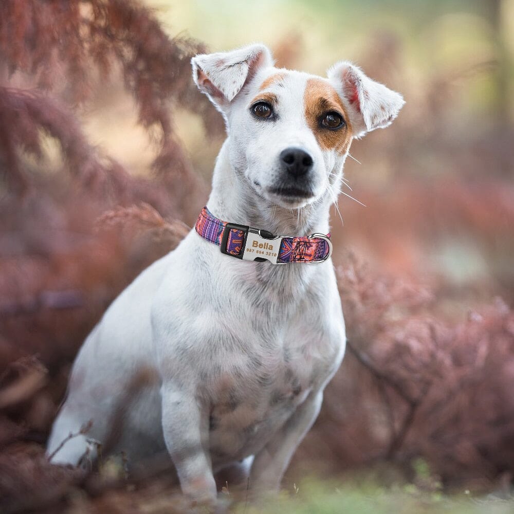 AdjustableDogCollar™ - Woof Woof Lover
